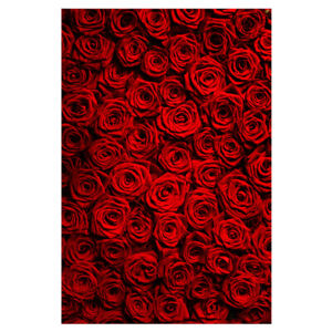 Pink Red Rose Flower Wall Wedding Party Background Photographic Backdrop