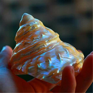 Glow In Dark Turban Snail Shell 3" - 4" Cone Shaped Shells Ornament Home Decor - Picture 1 of 6