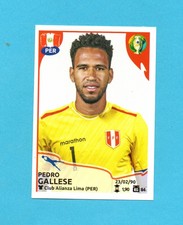 2019 COPA AMERICA BRASILE-PANINI-Figure #88-GALAIS-PERU'-NEW VELINA