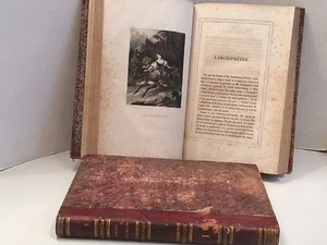 ZWEI BÜCHER VON 1842  NOUVELLES CAUSES CELEBRES FASTES DU CRIME PARIS P. FRERES - Picture 1 of 12