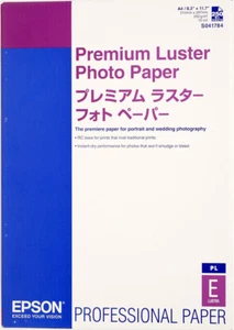 EPSON PAPIER PHOTO PREMIUM LUSTRE 250F A4 250g - Afbeelding 1 van 1