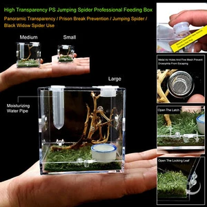 Glass Nano Habitat Small Reptile Vivarium Stackable Spider Insect Tank - Picture 1 of 15