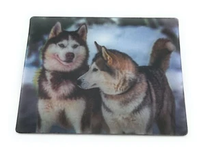 Huskys Hunde Schlittenhunde 9x7cm 3D Kühlschrankmagnet Magnet Karte Bild - Picture 1 of 2