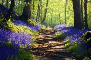 Bluebell Woodland Forest Canvas Picture Print Wall Art - Picture 1 of 3