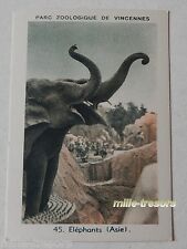 Image Collection CHROMO : ELEPHANTS (ASIE) (45) PARC ZOOLOGIQUE de VINCENNES