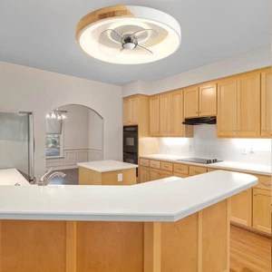 Nordic Dimmable Ceiling Fan Round LED Close to Ceiling Fan Lighting with Remote - Picture 1 of 11