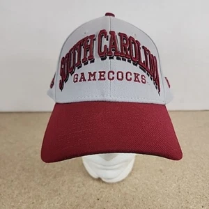New Era 39Thirty USC Gamecocks Baseball Fitted Hat Size L-XL Garnet And Gray - Picture 1 of 8