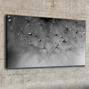 Canvas Wandbild Leinwand Bilder 100x50 Malerei Abstrakte Löwenzahn Wassertropfen - Bild 1 von 11
