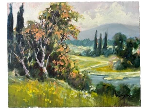 Pintura de paisaje original al óleo sobre lienzo EVA SZORC "Campo europeo" - Imagen 1 de 4