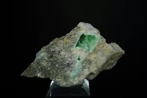 Variszit / Mauldin Mountain Quarries, Arkansas / Mineralienpräparat - Bild 1 von 3