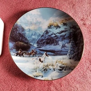 1993 "RUNNING WITH THE WIND" COLLECTORS PLATE #11953--NATIVE AMERICAN - Picture 1 of 4