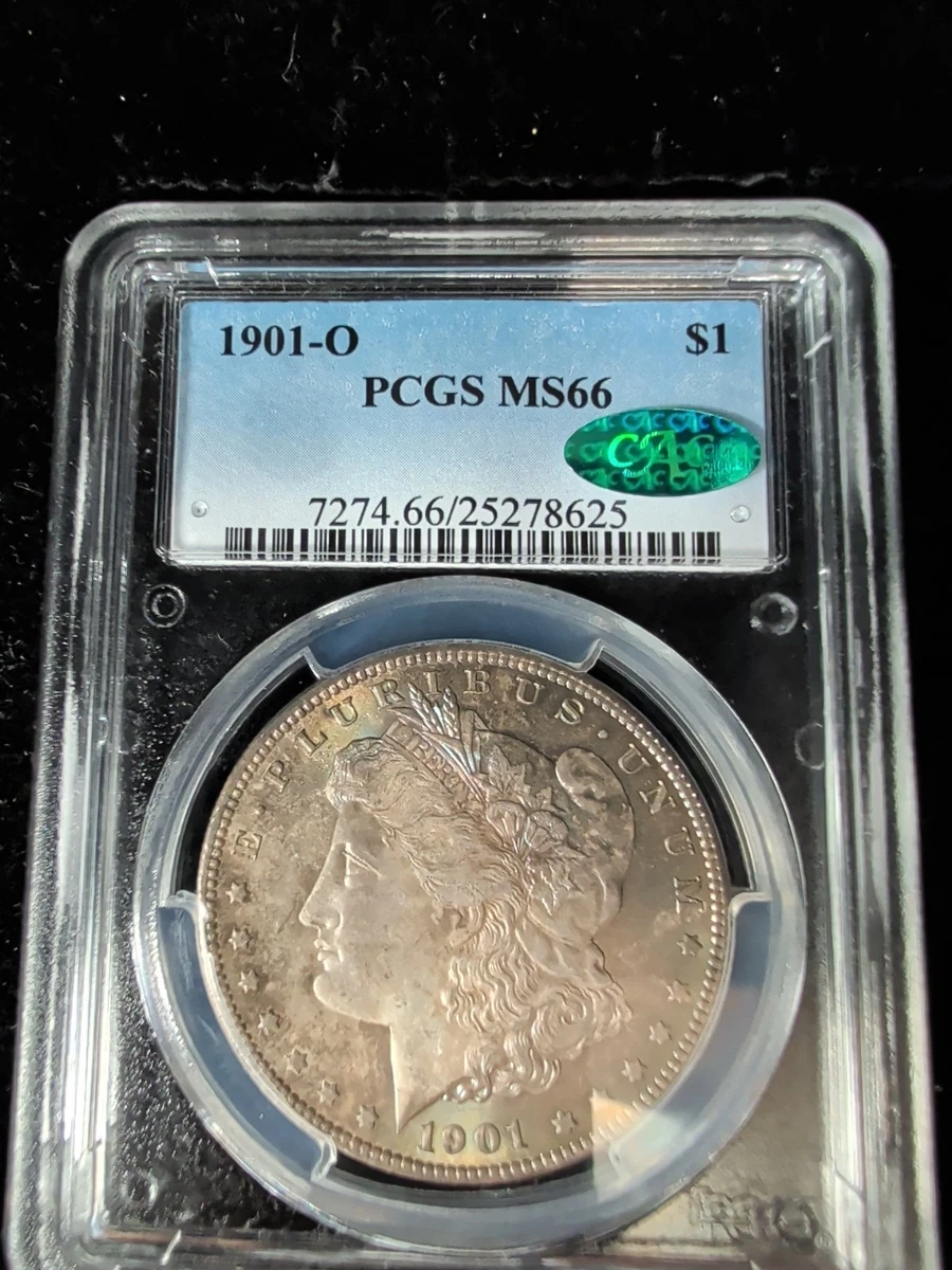 1901 MS 64 Graded Morgan Dollars for sale | eBay