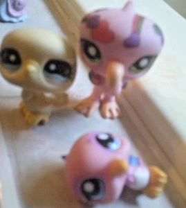 3 LPS birds#121 2  yellow Pigeon,Pink Humming Bird, Pink Flamingo - Picture 1 of 7