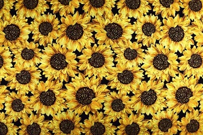TIMELESS TREASURES Sunflower fabric, Cotton Quilting fabric, Harvest - Price by the Half Metre