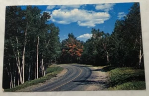 Greetings From Northome, Minnesota. Postcard (A2) - Picture 1 of 2
