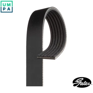VRIBBED BELT 6PK1745 FOR MITSUBISHI OUTLANDER/II/SUV SKODA FABIA/Praktik/Combi - Picture 1 of 10