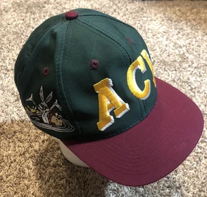 Looney Tunes ACI Top of the World 1993 Vintage Snapback Hat Cap ACME Warner NCAA - Picture 1 of 7