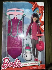 Barbie Sisters Sledding Fun Target Exclusive Barbie Doll CMY43 2015 shelfwears - Bild 1 von 2
