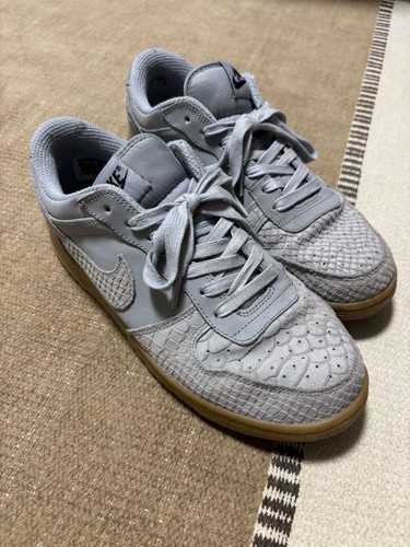 NIKE Terminator Big Dunk Uomo 8.5US Modello