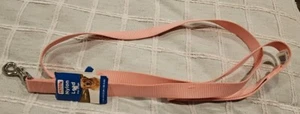 Petco Nylon 1" Wide Dog Leash Size 6ft Color Pink NEW Free Shipping - Picture 1 of 5