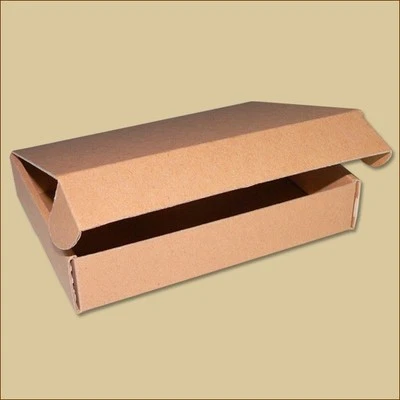 PACKEN24 Karton Faltschachteln Stanzverpackung 200 x 152 x 40 mm