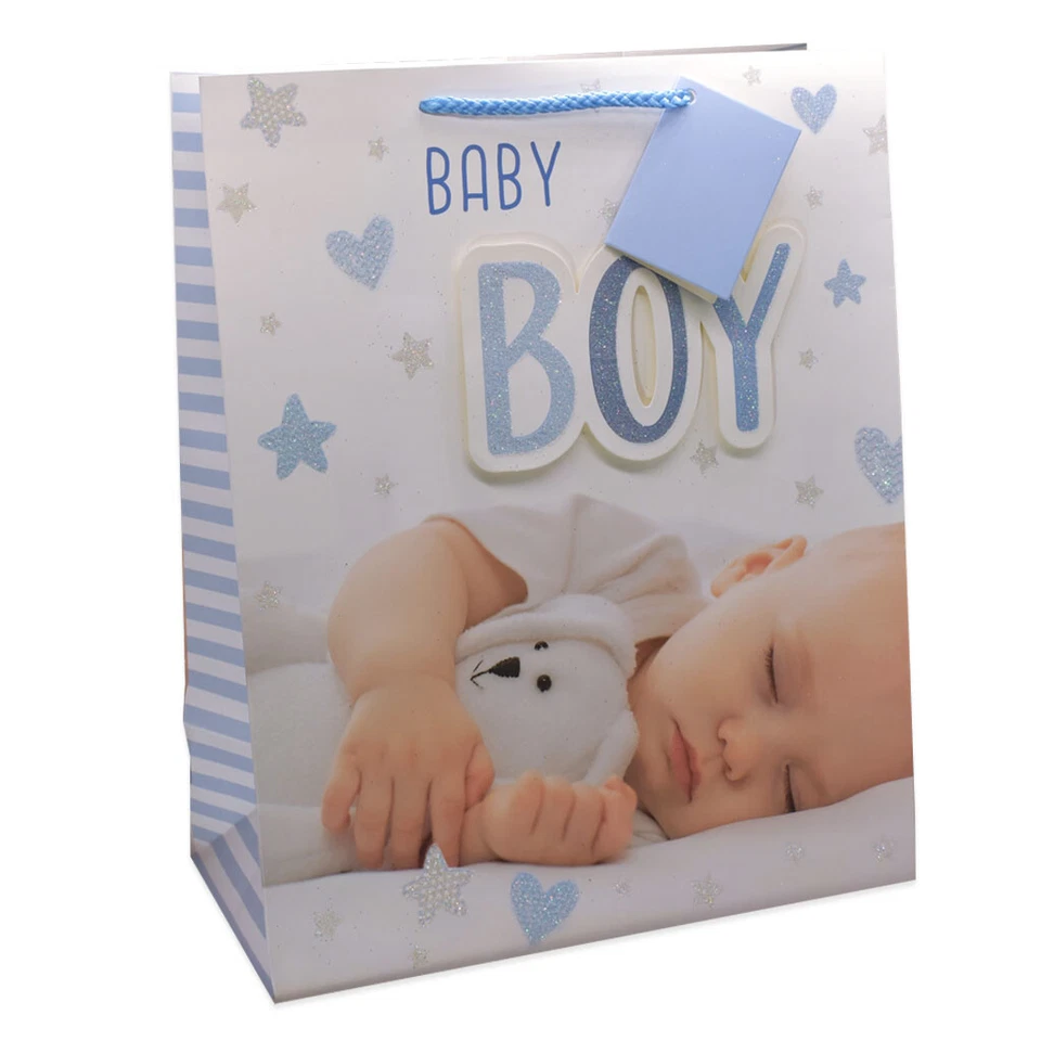 Wraptastic - Medium/Large/XLarge Gift Bag & Tag  Boy - SLEEPING BAG - Image 1 of 1