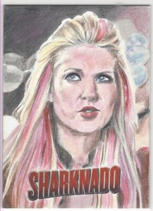 2018 RRPARKS SHARKNADO LINDSEY GREYLING SKETCH CARD  1/1 NRMT