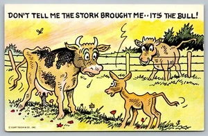 Postal Dont Tell Me The Stork Brought Me Its The Bull Cow Calf Curt Humor - Imagen 1 de 2