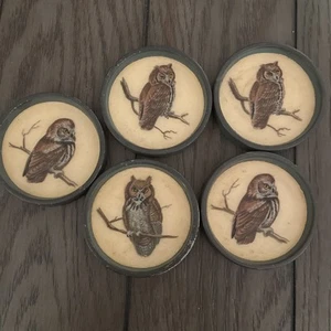 Set of 5 Vintage Rare Metal & Fiberglass Hand Painted Owl Coasters 3.5 in. - Picture 1 of 9