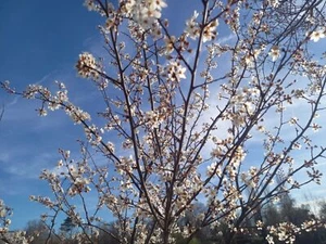 Enchères générales - test uniquement - Photo 1 sur 1