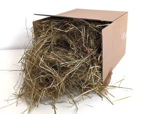 ⭐ Frisches Wiesenheu, 10kg, getrocknet, erster Schnitt, für Kleintiere, regional - Bild 1 von 1