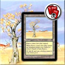 Karoo ~ MTG Magic the Gathering (Visions)