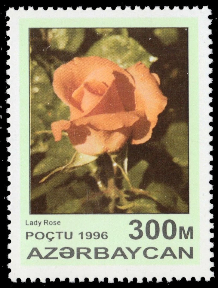 AZERBAIJAN 602 - Garden Roses "Lady Rose" (pb76258) - Image 1 of 1