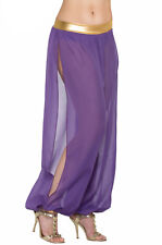 Desert Princess Haram Costume Pants Purple Adult Women Standard
