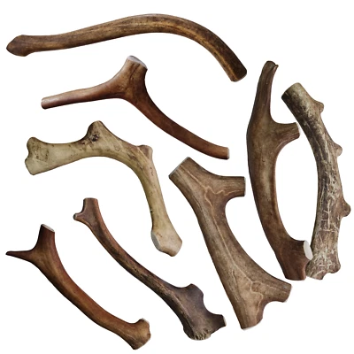 THEMAHUND Kauknochen Rentiergeweih Kaugeweih Geweihsnack Hund Belohnung Chewinghorn Geweih