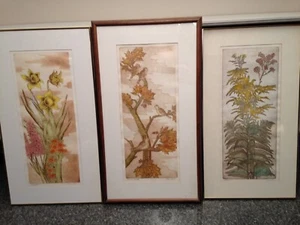 3 images signed/numbered David Olsen matted & framed - Picture 1 of 10