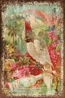 Florida Water Advert Tropical Parrot Vintage Look Retro Style Metal Sign