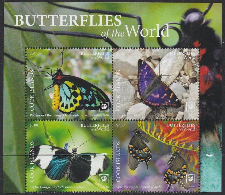 Cook Islands (2020) Butterflies of the World, Part I, Large Stamp - BK/4, Top - Image 1 of 1