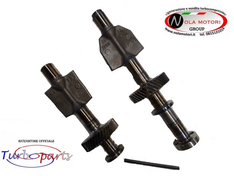 POMPA OLIO ALBERI CONTROALBERI AUDI A4 A6 A3 ALTEA LEON TOLEDO GOLF PASSAT - Immagine 1 di 2