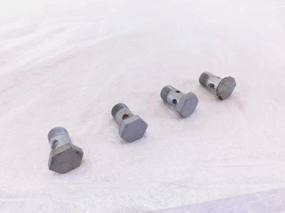 BMW F650 F650GS F650CS & R1200C R1200 Oil Pipe Hose Hollow Banjo Bleeder Bolts - Image 1 of 4