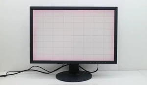 EIZO ColorEdge CS2420 24.1 inches WUXGA 1920x1200 LCD Monitor Used - Picture 1 of 3
