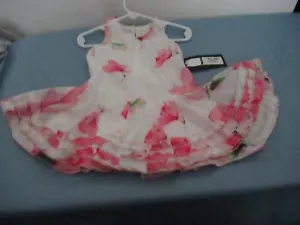 P40) Girls Size 18 Months Isobella & Chloe Fuchsia and White Floral Dress - Picture 1 of 10