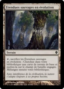 2 X MAGIC MTG COMMANDER 2013 C13 #287 Étendues sauvages en évolution FR - Imagen 1 de 1