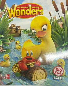 Kindergarten Wonders Big Book Unit 8 Grade K Teacher Resource Reading - Imagen 1 de 1
