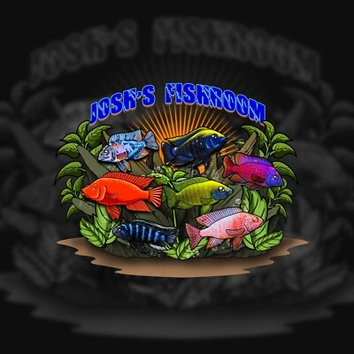 African Cichlid Adult 3+ Inches. Lot Of (2) - Uncolored Males And Females. - Image 1 of 4