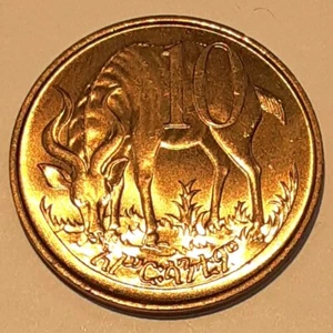 1977 Äthiopien 10 Santeem Nickel-Messing Münzen Löwe/Antilope - Rolle mit 20 BU Münzen - Bild 1 von 3