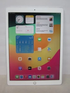 Apple iPad Pro 12.9 2nd Gen A1671 64GB Silver WIFI/Cell Unlocked 100% Battery #1 - Afbeelding 1 van 4