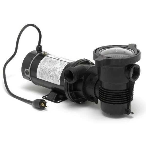 OptiFlo Horizontal Discharge 2HP Above Ground Pool Pump Dual Speed Motor with 3' - Image 1 of 4