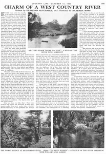 1950 The River Tone Somerset Fishing West Country Original Article - Picture 1 of 1