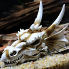 Modèle en résine de crâne de dino pour décoration d'aquarium